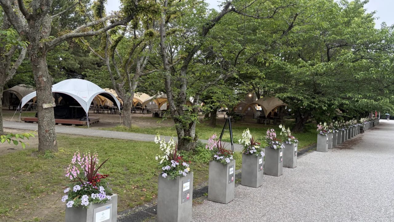 Barbecue area