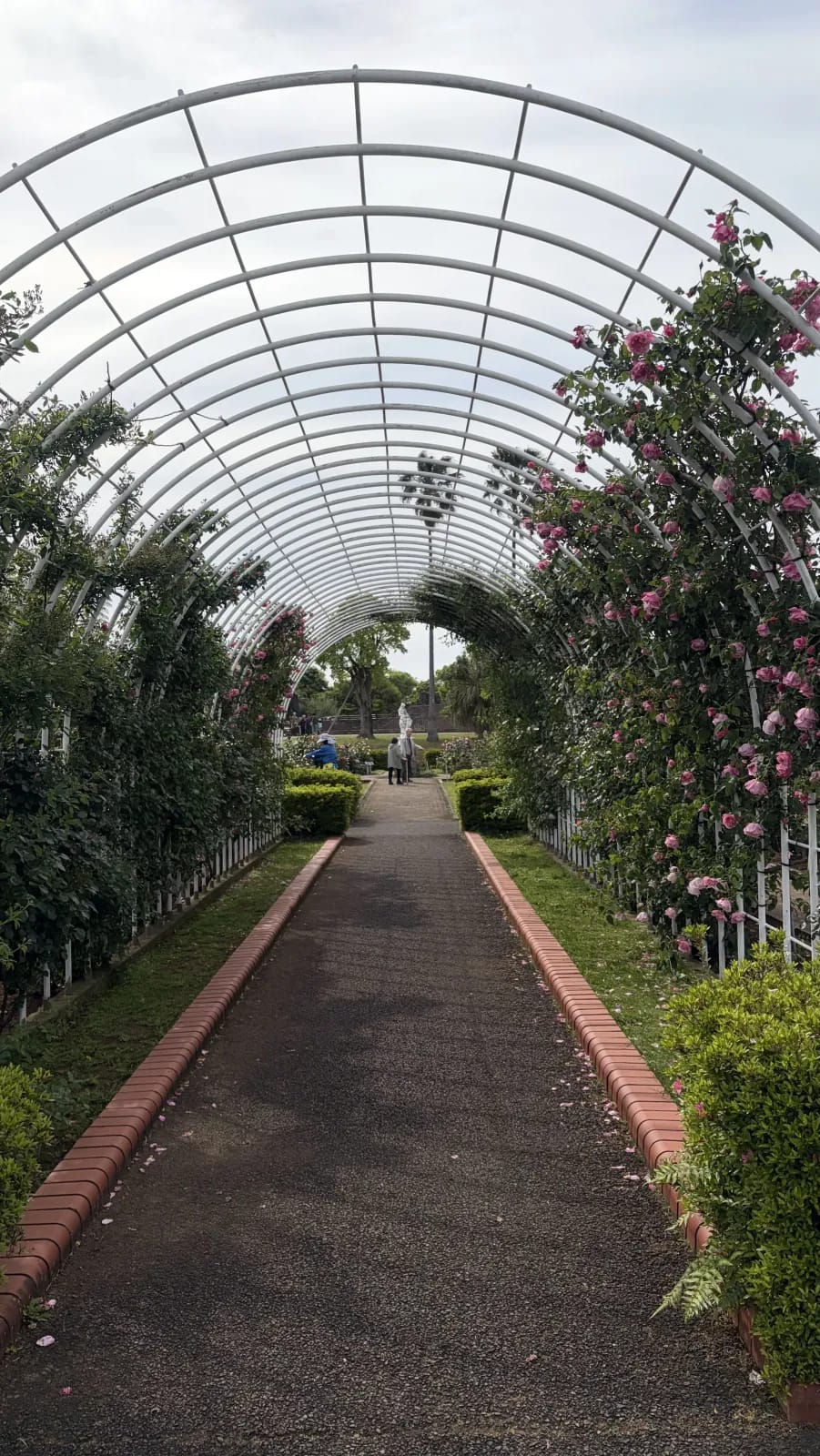 Archway of Roses