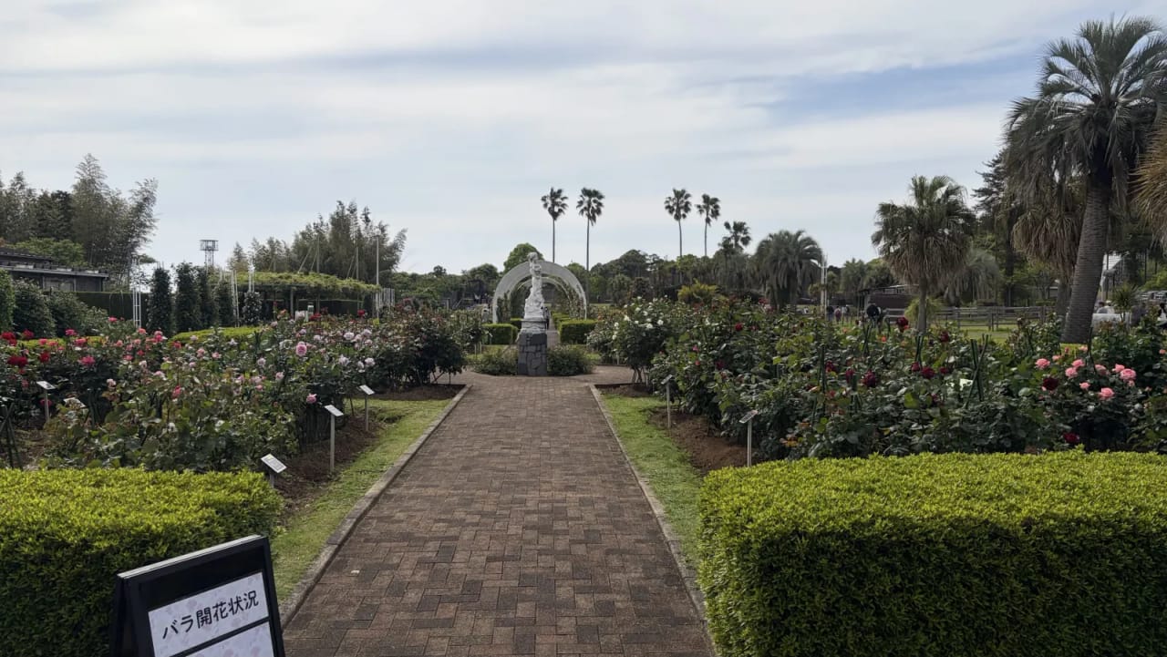Roses at Kujukushima Zoo