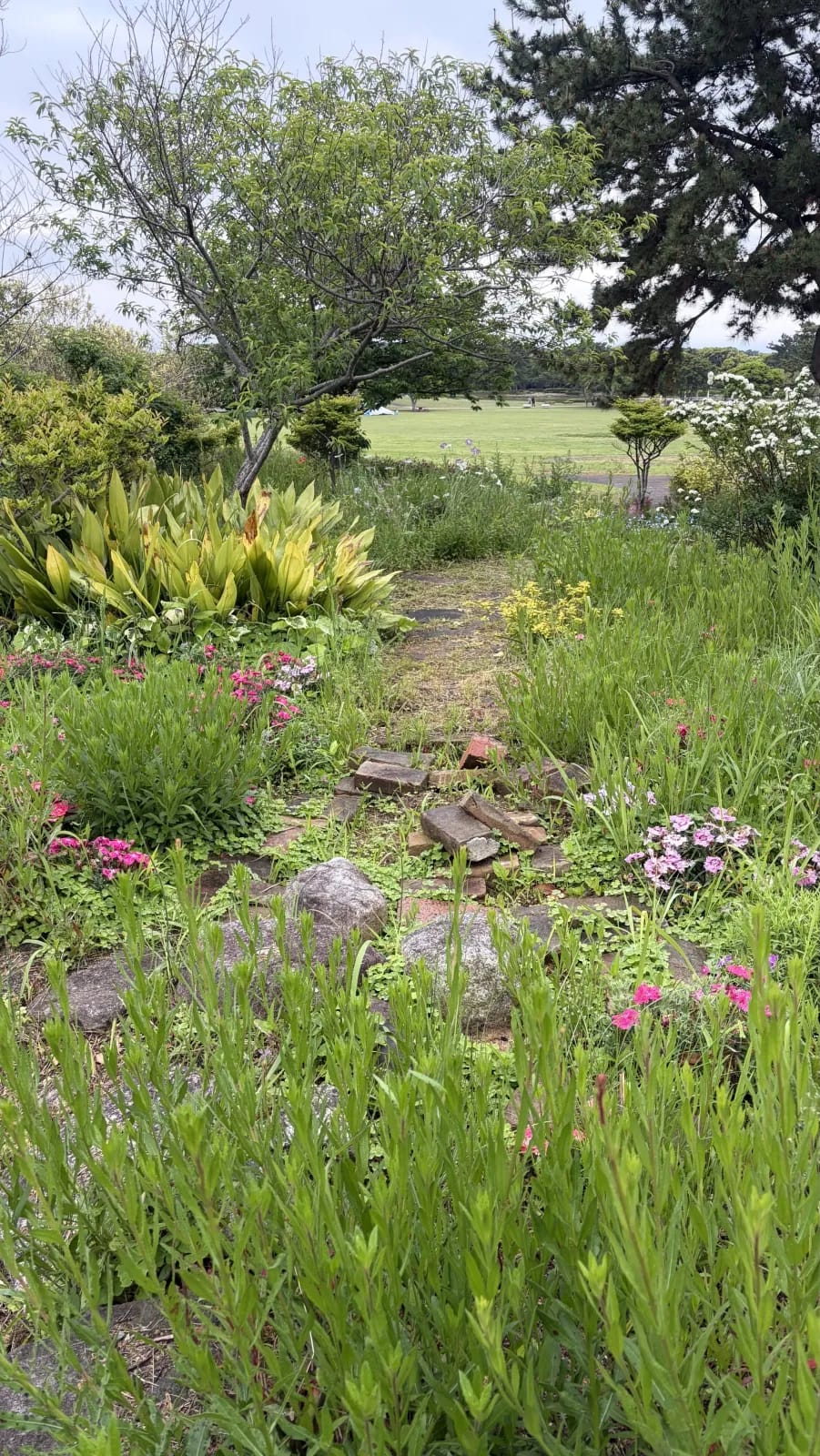 More flowers at the Symphony Garden